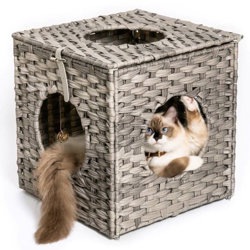 Cat Litter Cat Bed with Rattan Ball and Cushion Cat Litter Cat Bed with Rattan Ball and Cushion